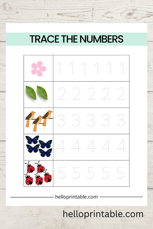 Basic Math Worksheets For 3 To 4 year olds Helloprintable