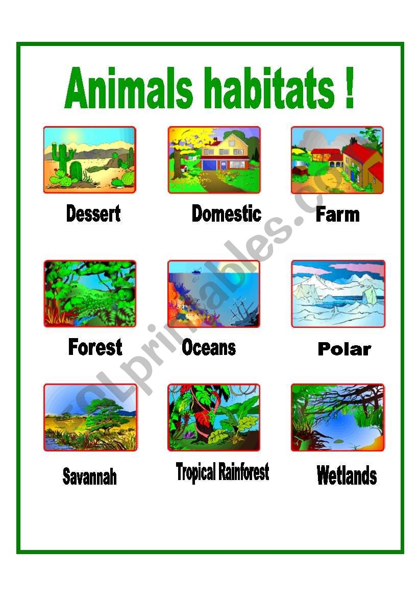 10 Animal Habitats Worksheets Worksheets Decoomo