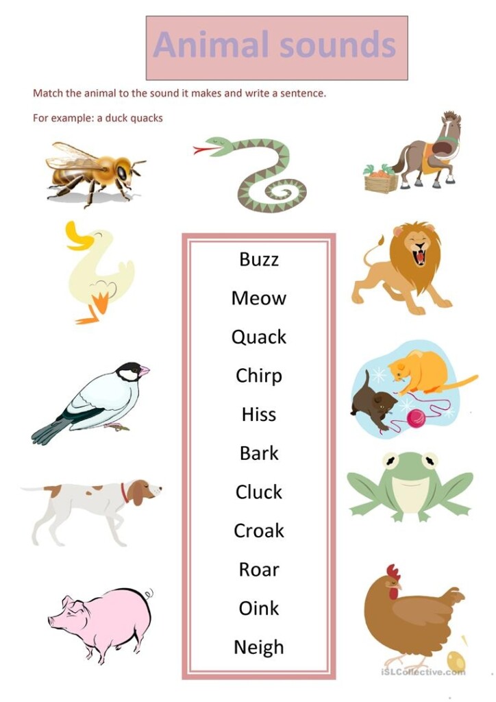 Animal Sounds Printable Worksheets Printable Worksheets