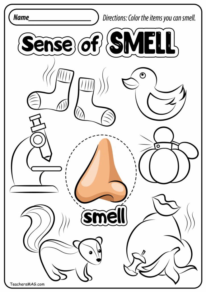 Five Senses Worksheets Free Printables Printable Calendars AT A GLANCE