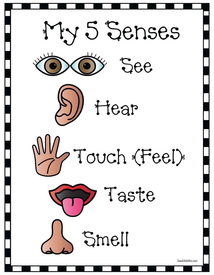 Five Senses Worksheets Free Printables Printable Calendars AT A GLANCE