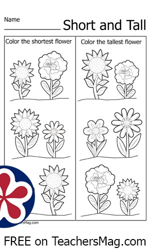 Flower Measurement Worksheets TeachersMag Worksheets Library