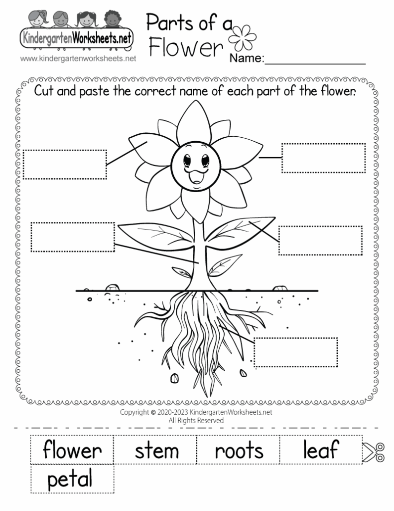 Flower Worksheet Printable Printable Paragraph Writing Flower 