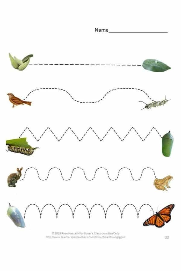 Free Autism Worksheets PDF Printable Resources For Autism Spectrum 