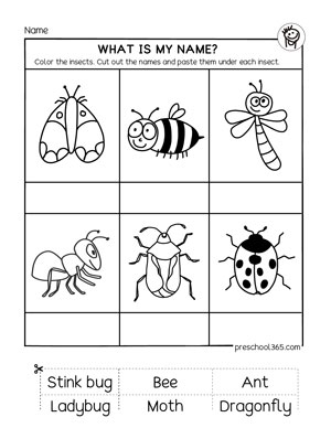 Free Bugs Preschool Printable Worksheets 30 Pages Worksheets Library