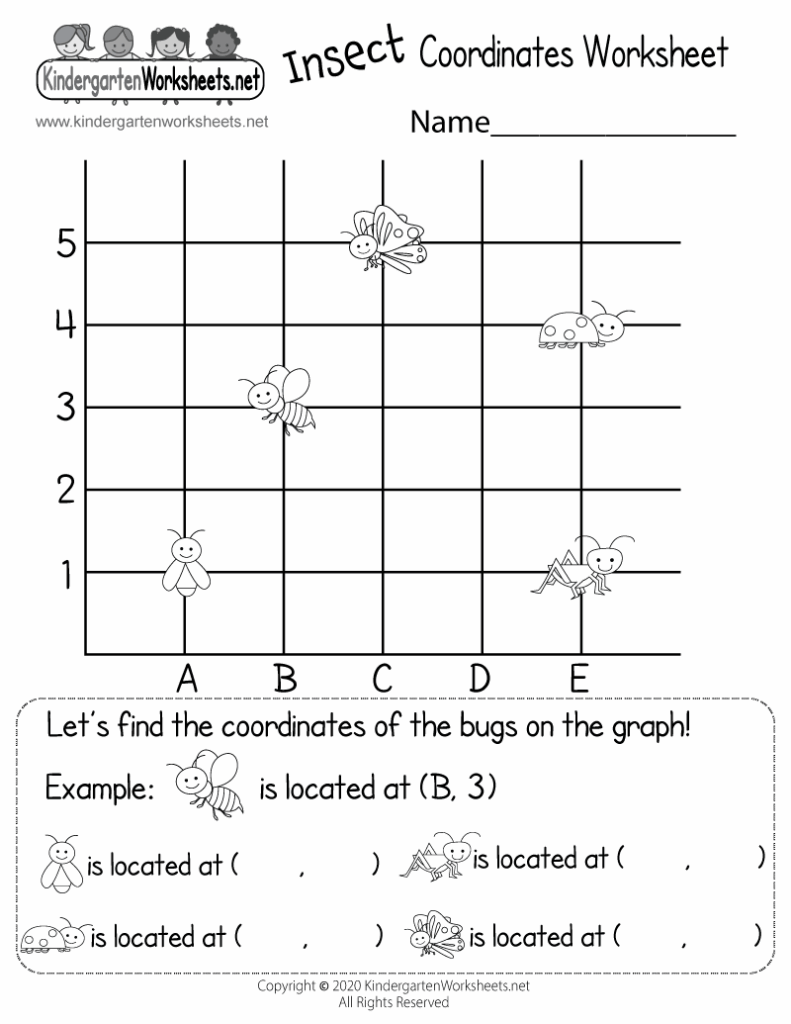 Free Coordinate Graphing Mystery Picture Worksheets LoveToKnow 