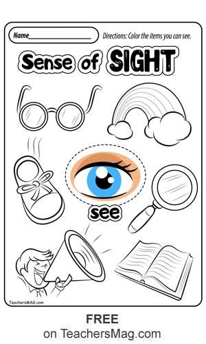 Free Five Senses Worksheets TeachersMag