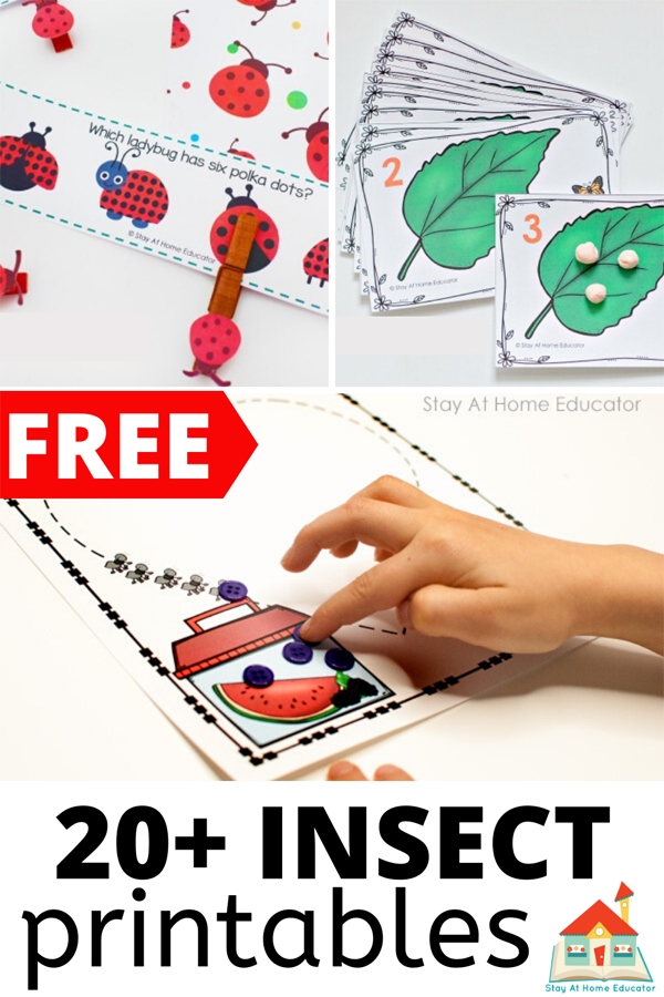 Free Preschool Insect Theme Printables And Activities The 