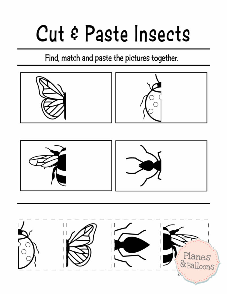 Free Preschool Rainbow Color And Cut Worksheet Free Printable Cut And 
