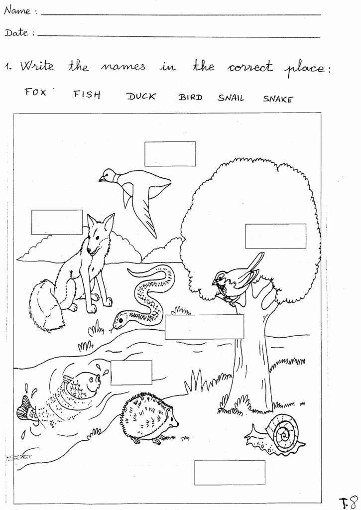 Free Printable Ecosystem Worksheets Fresh 30 Free Printable Ecosystem 