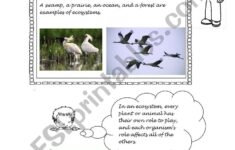 Free Printable Ecosystem Worksheets Pdf Printable Word Searches