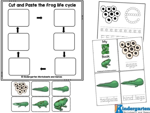  FREE Printable Frog Life Cycle Worksheets