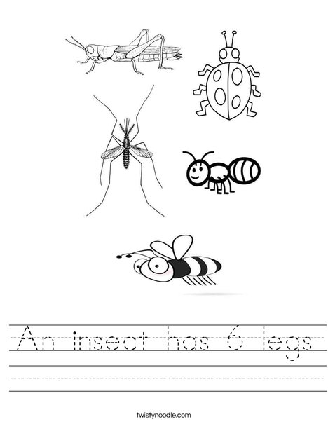 Free Printable Insect Worksheets For Preschool Worksheets Library