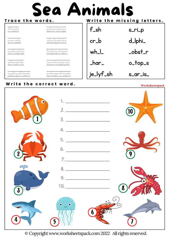 Free Printable Sea Animals Worksheets Worksheetspack