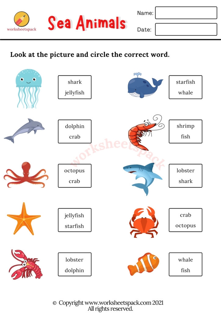 Free Printable Sea Animals Worksheets Worksheetspack