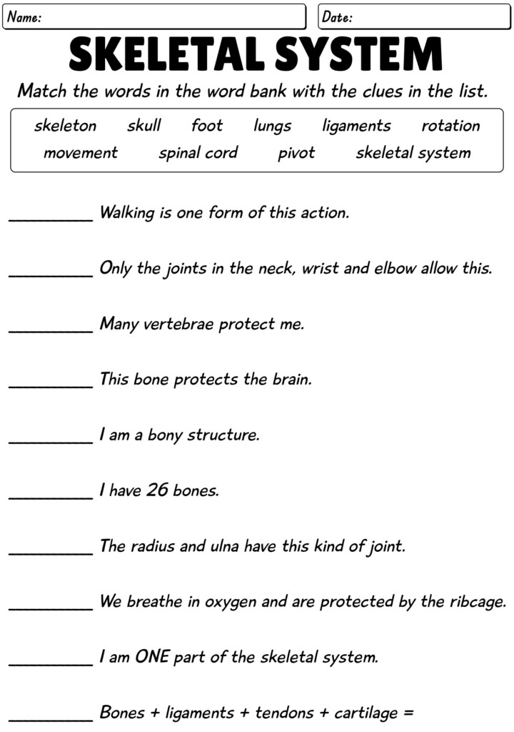 Free Printable Skeletal System Worksheets Printable Templates