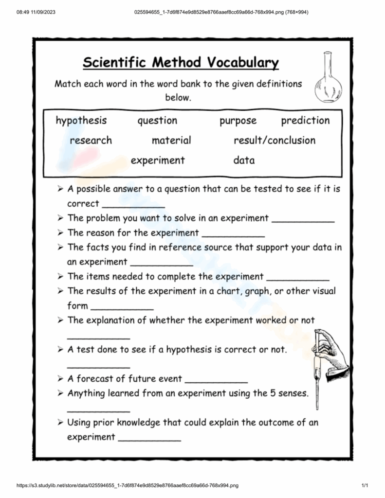 Grade 3 Scientific Method Worksheets 2024 Worksheets Library