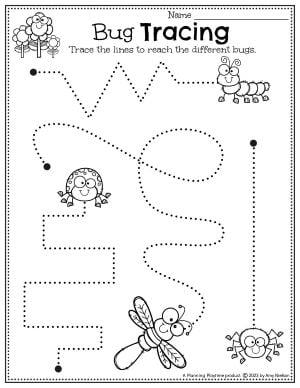 Insect Worksheets Preschool