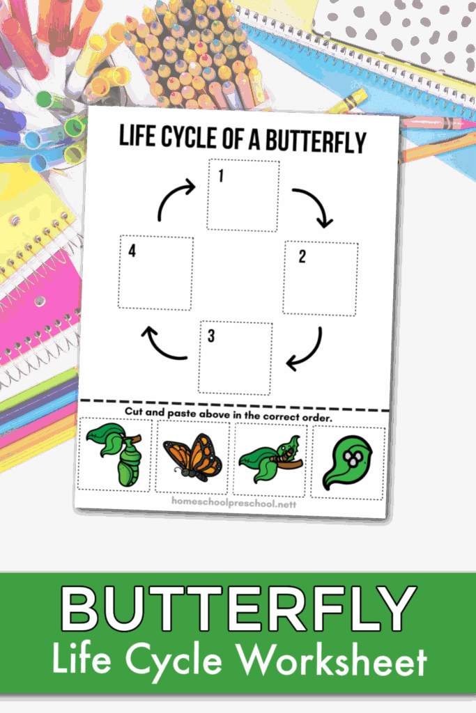 Life Cycle Of A Butterfly Free Printable Worksheet Butterfly Life Cycle 