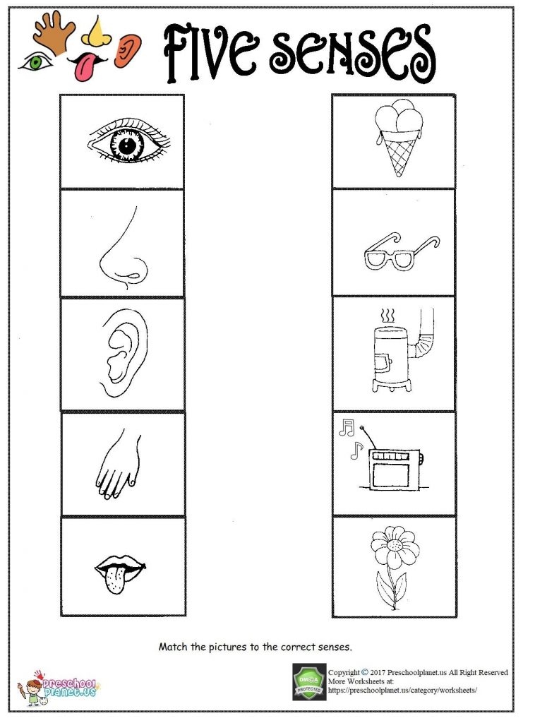 My Five Senses Worksheets For Kindergarten