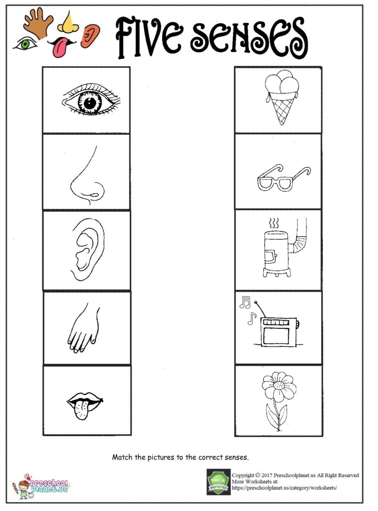 Preschool Free Printable Five Senses Worksheets Printable Worksheets