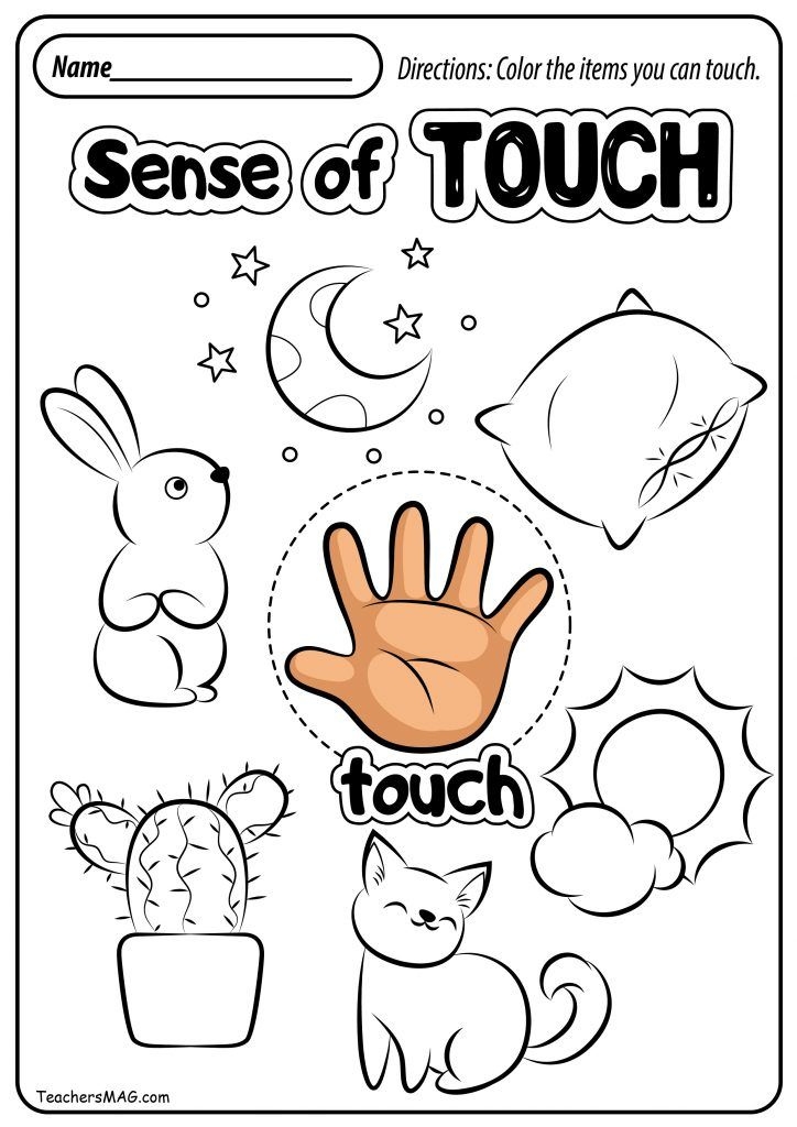 Preschool Free Printable Five Senses Worksheets Printable Worksheets