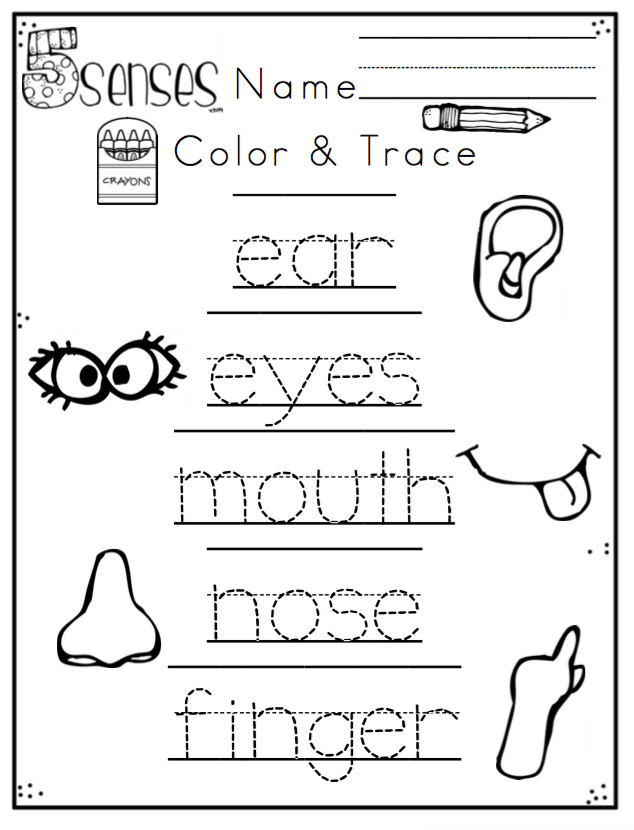 Preschool Free Printable Five Senses Worksheets Printable Worksheets