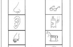 Printable Five Senses Worksheet Preschoolplanet Printable Worksheets