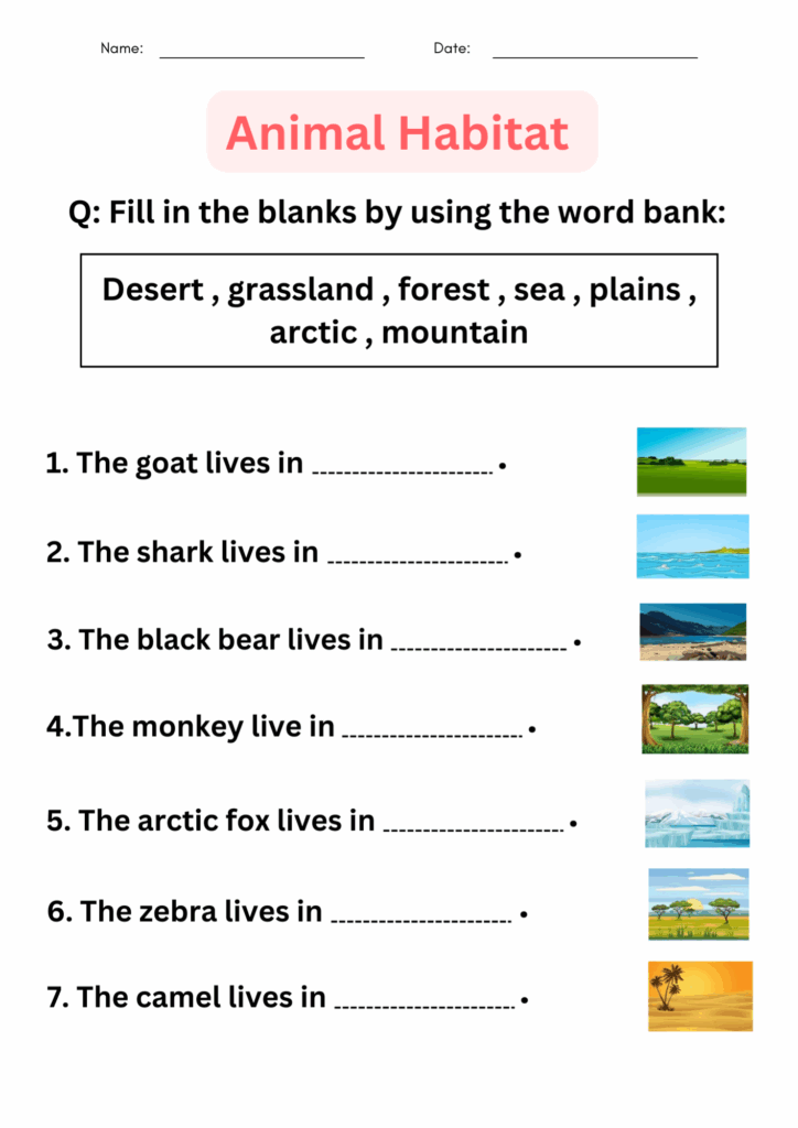 Printable Matching Activity Animal Habitats Worksheets For 49 OFF