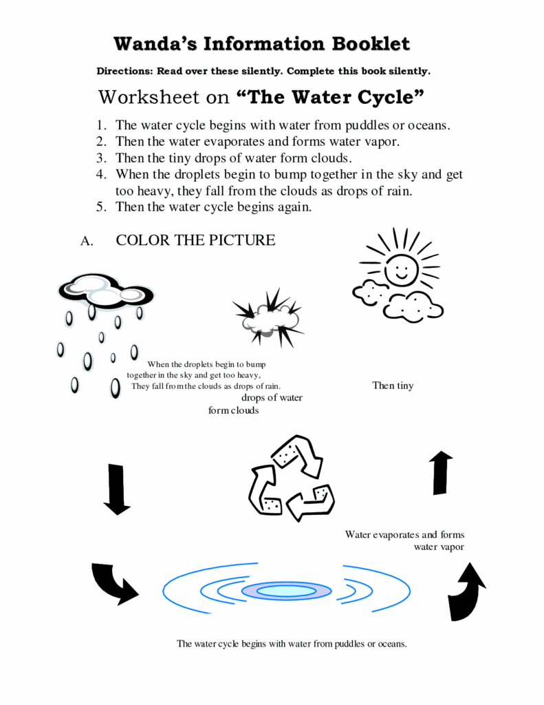 Printable Water Cycle Worksheet Pdf Printable Word Searches