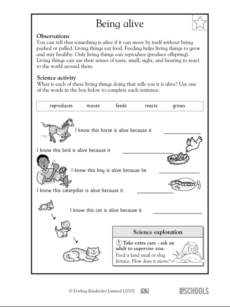 Science Worksheets Printable Printable Worksheets Science Worksheets Printable Printable Worksheets