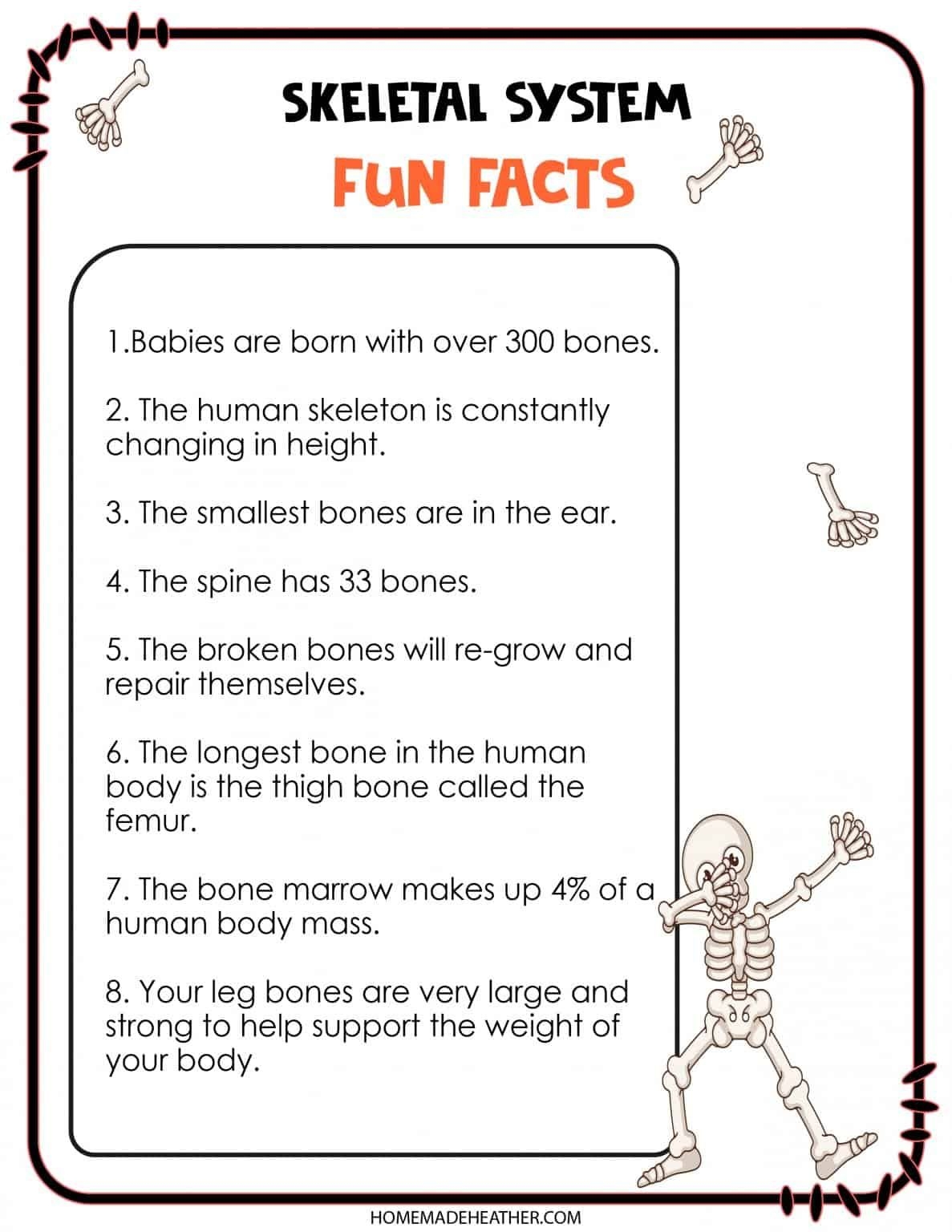 Skeletal System Printable Worksheets Skeletal System Printable