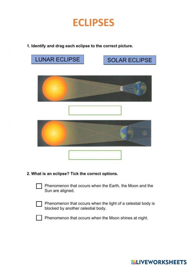 Solar And Lunar Eclipse Organizer PDF Worksheets Library