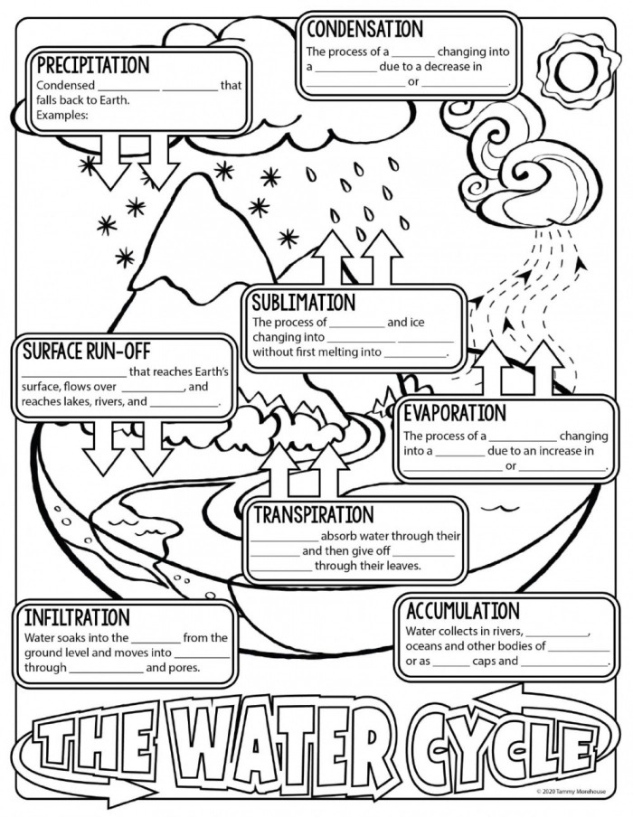 The Water Cycle FREE Printable Worksheets And Teaching Resources 