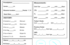 Ultrasound Technologist Worksheets Printable Worksheets