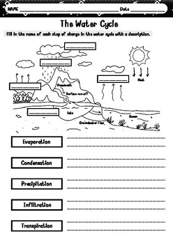 Water Cycle Worksheet Download Free Printables For Kids Worksheets 