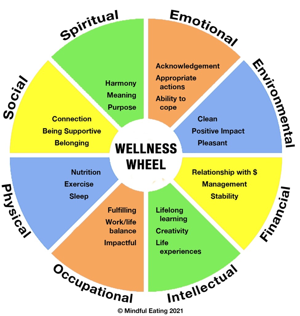 Wellness Wheel Worksheet Quiz Printable Vrogue co